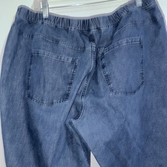 Isaac Mizrahi Live Womens Denim Jeans 20W Elastic Waist Mid-Rise Straight Leg Co - Picture 9 of 9